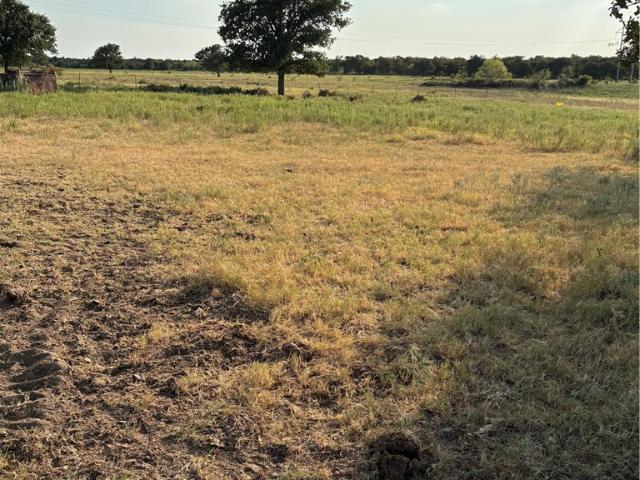 Land for sale in Cisco, Texas