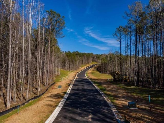 Land for sale in Box Springs, Georgia