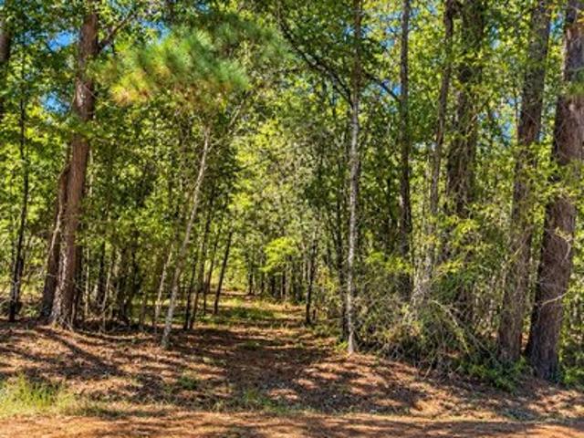 Land for sale in Walterboro, Colleton County