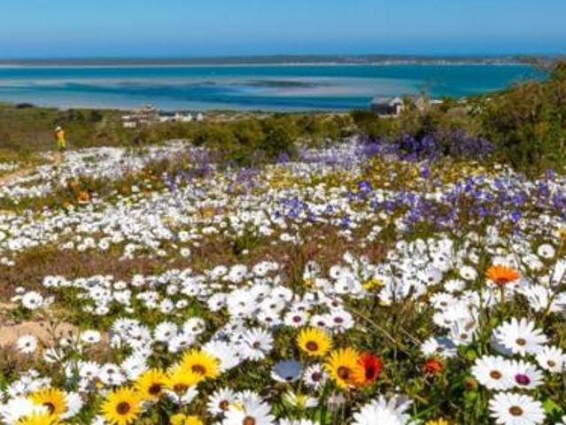 Land for sale in Western Cape