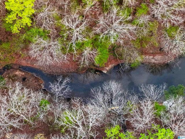 Land for sale in Tallapoosa, Alabama