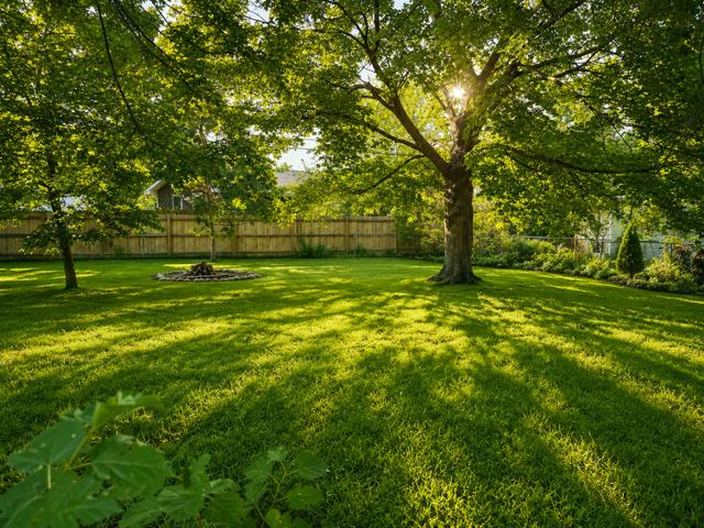 House for sale in Fridley, Minnesota