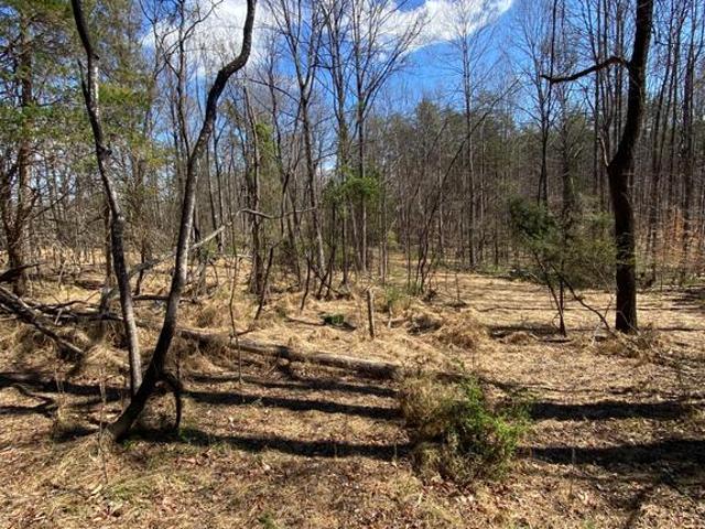 Land for sale in Culpeper, Culpeper County