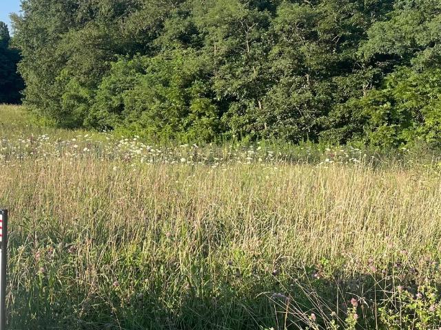 Land for sale in Cloverdale, Putnam County