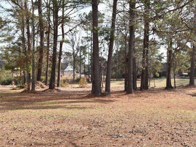 Land for sale in Manning, Clarendon County