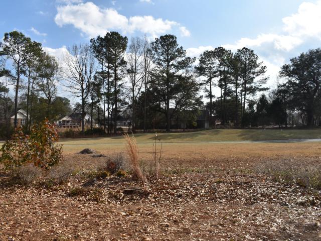 Land for sale in Manning, Clarendon County