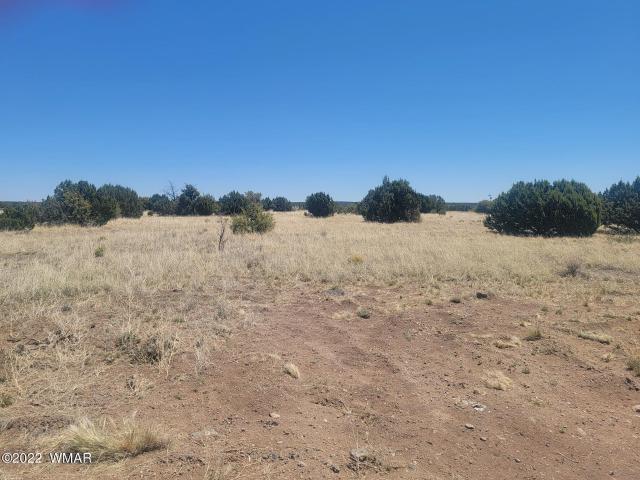 Land for sale in Navajo, Arizona