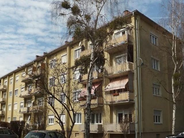 Apartment mieten in Leibnitz, Innere Stadt