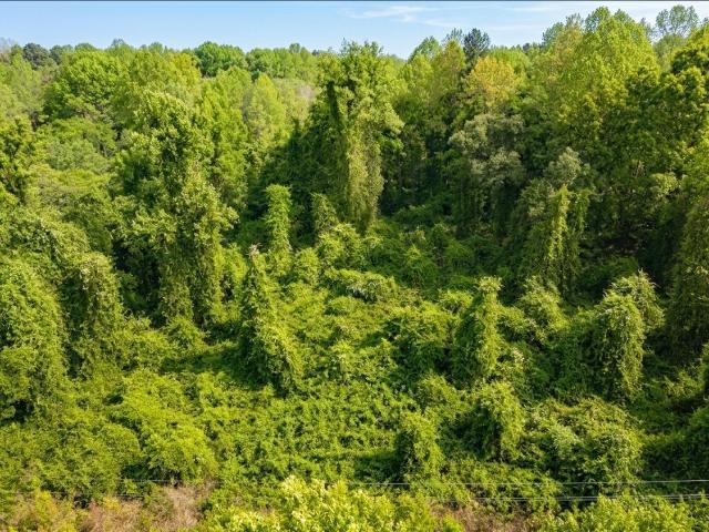 Land for sale in Granville, North Carolina