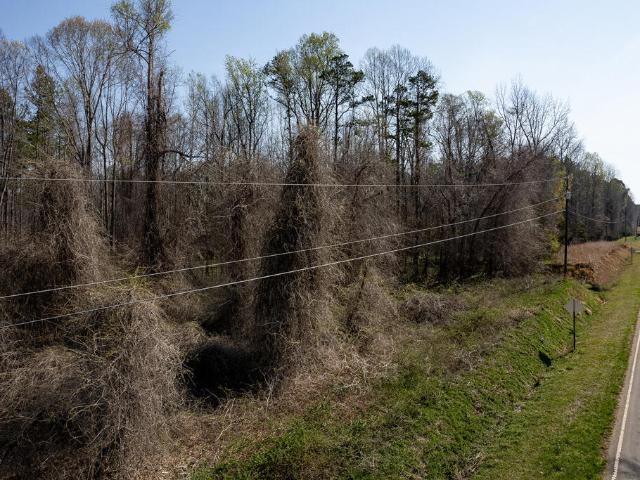 Land for sale in Granville, North Carolina