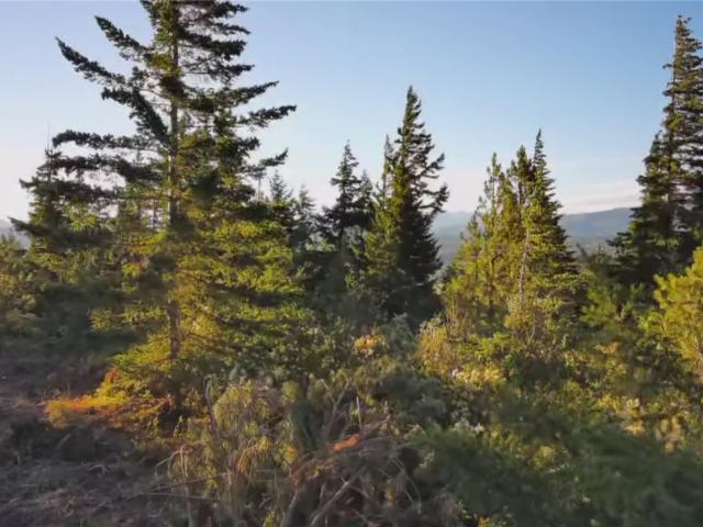 Land for sale in Cle Elum, Washington