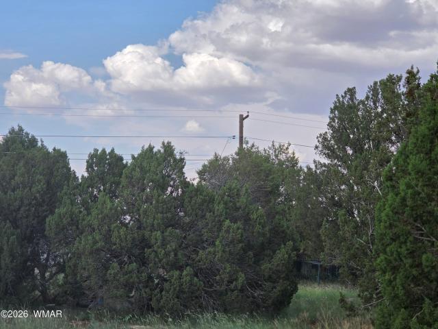 Land for sale in Navajo, Arizona