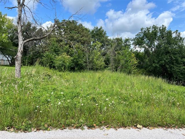 Land for sale in Guthrie, Iowa
