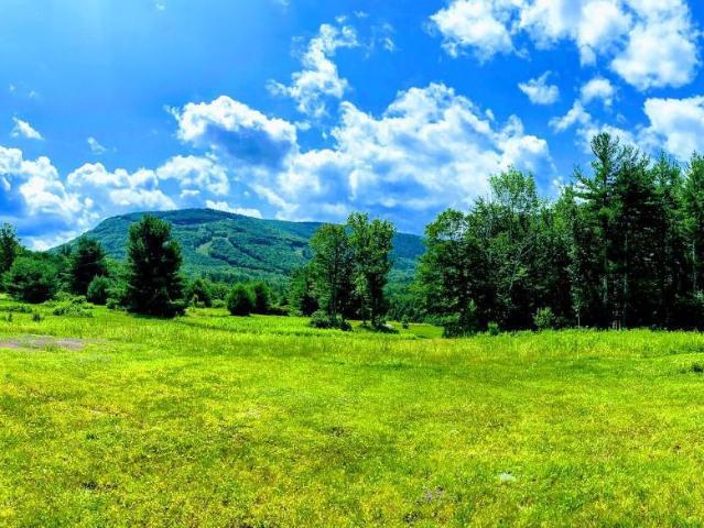 Land for sale in East Jewett, New York