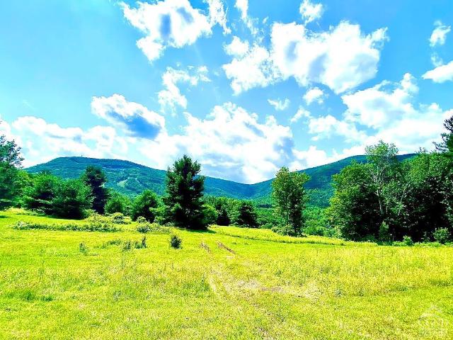 Land for sale in East Jewett, New York