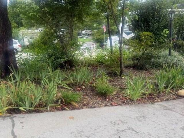 Land for sale in Bethel, Townsend