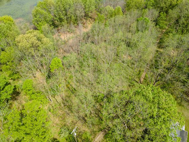 Land for sale in Michigan