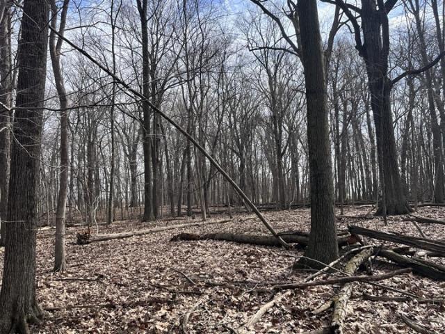 Land for sale in Michigan