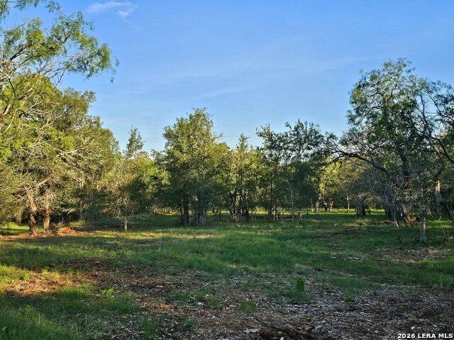 Land for sale in Kingsbury, Texas