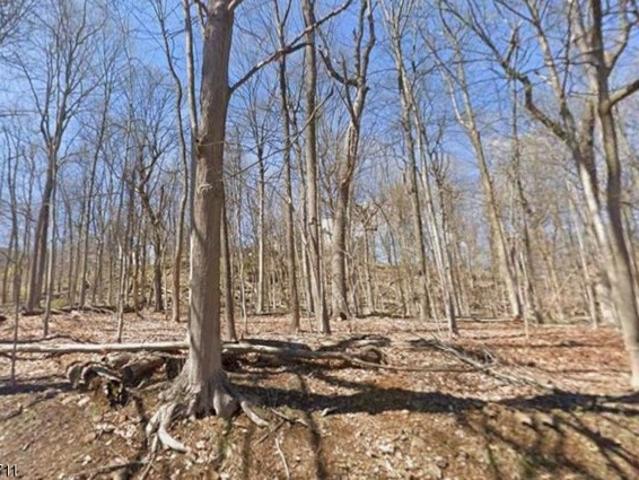 Land for sale in Watchung, New Jersey