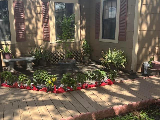 House for sale in Alice, Texas