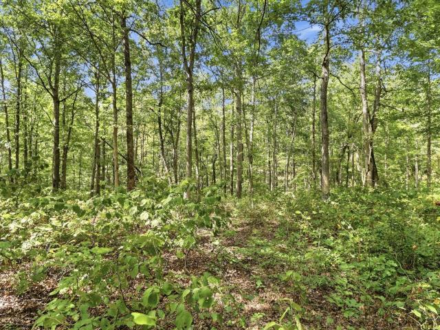 Land for sale in Tennessee