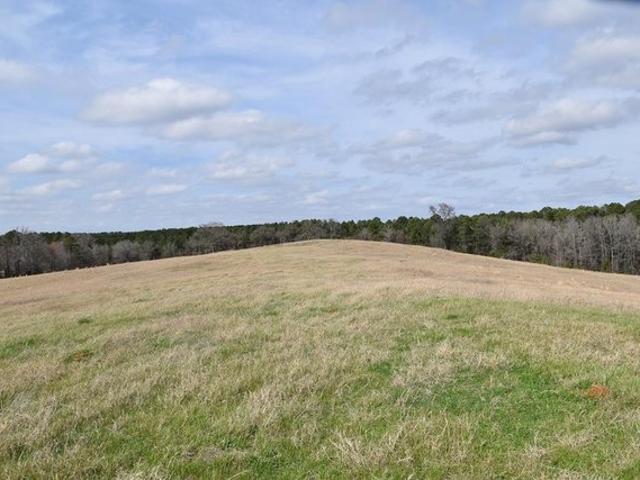 Land for sale in Palestine, Texas