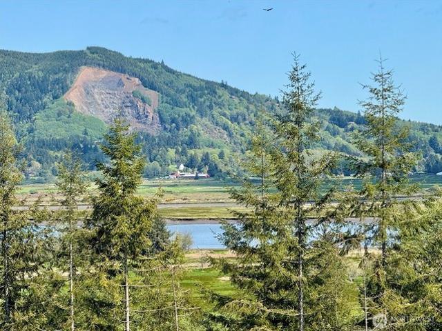 Land for sale in South Bend, Washington