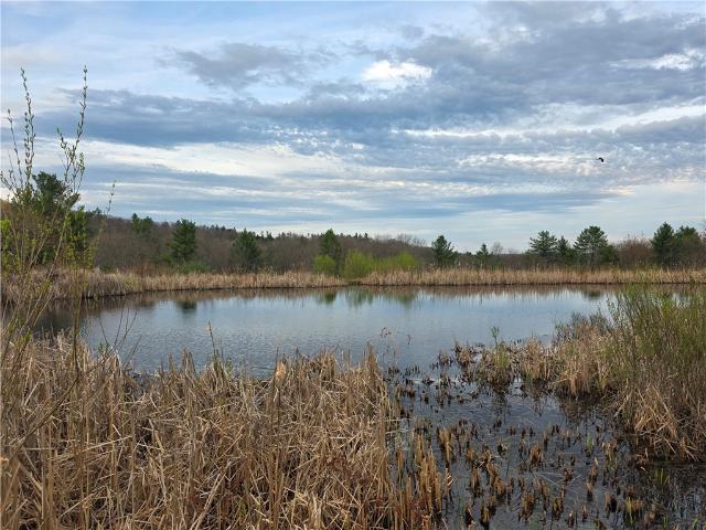 House for sale in Village of Unadilla, Town of Unadilla
