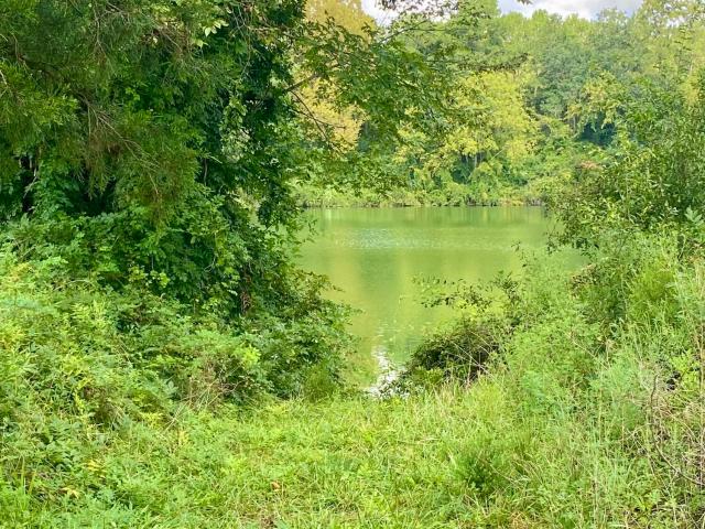 Land for sale in Pollocksville, Jones County