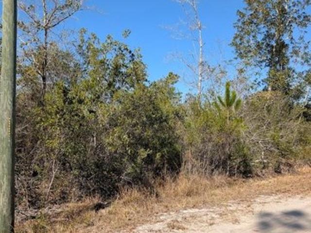 Land for sale in Carrabelle, Florida