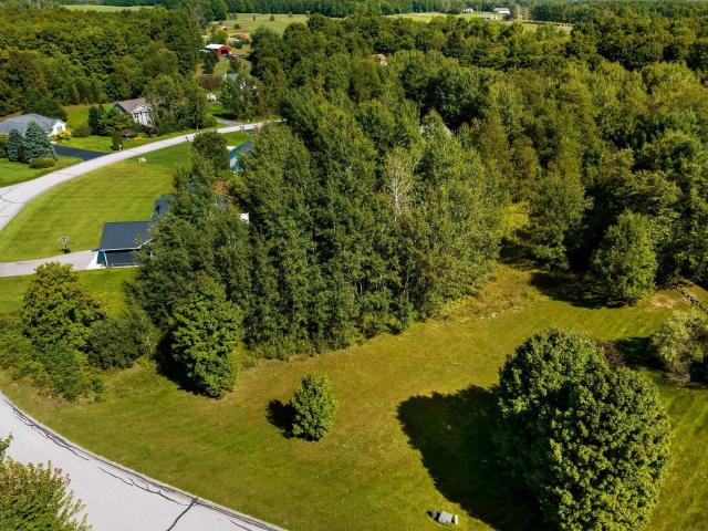Land for sale in Michigan