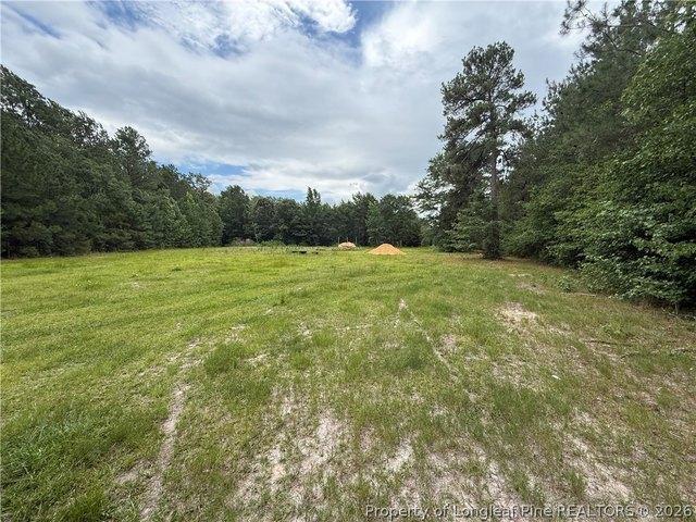 Land for sale in Autryville, North Carolina