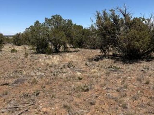 Land for sale in Navajo, Arizona