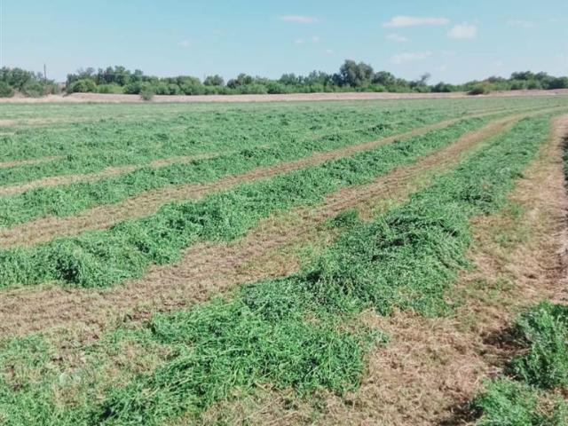 Farm for sale in Western Cape