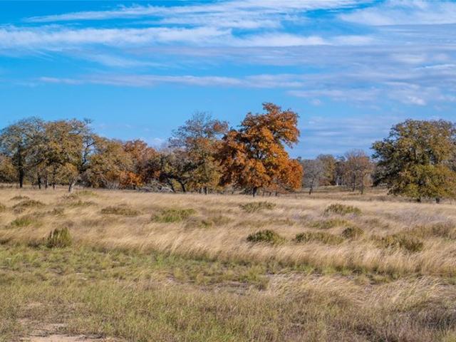 Farm for sale in Wilson, Texas