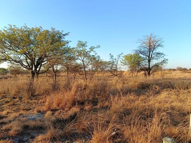Land for sale in Polokwane, Polokwane Local Municipality
