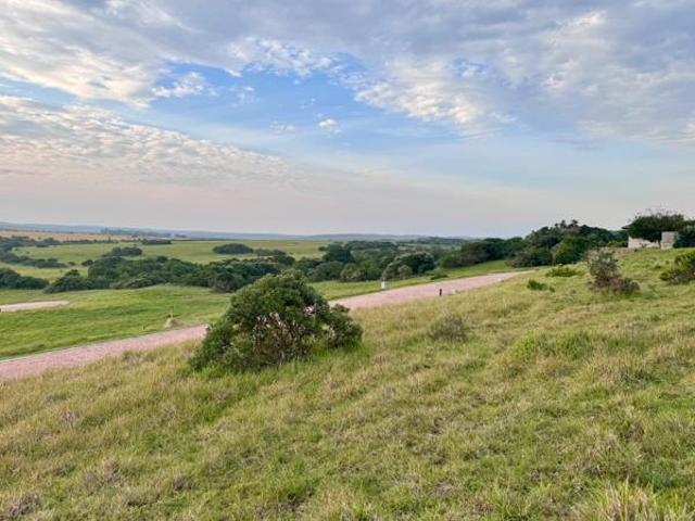 Land for sale in Bushmans River Mouth, Eastern Cape
