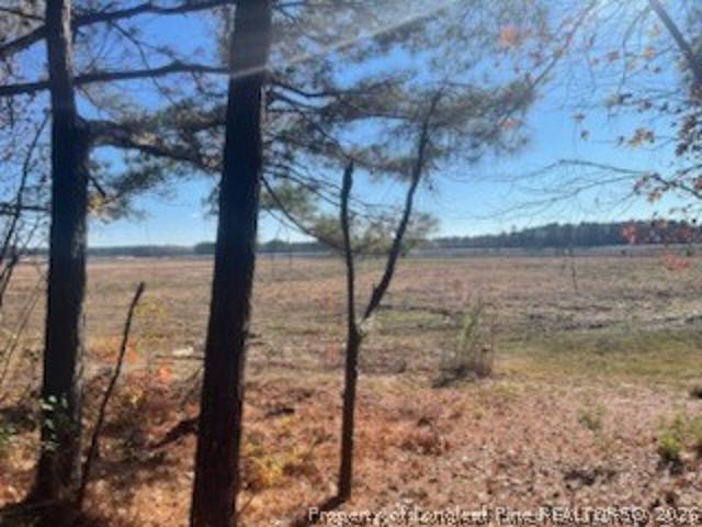Land for sale in Lobelia, Vass