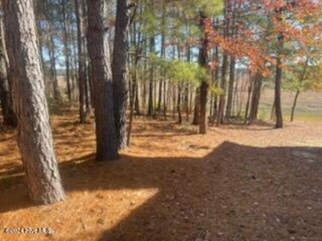 Land for sale in Lobelia, Vass