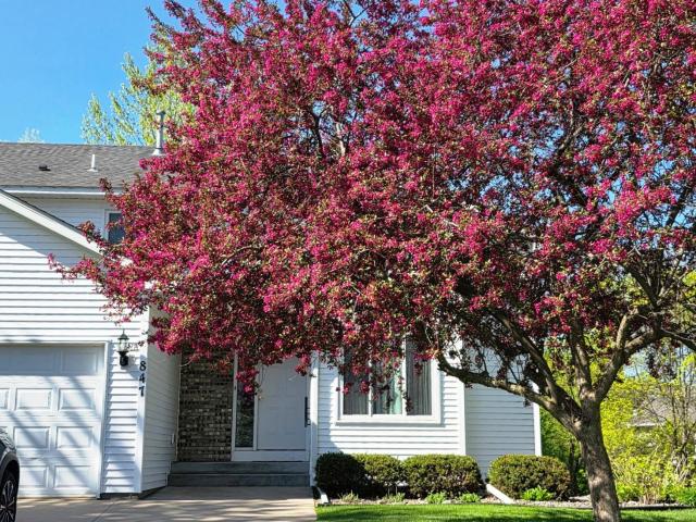 House for sale in Wright, Minnesota