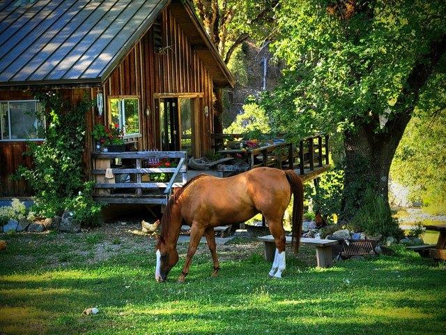 House for sale in Hyampom, California