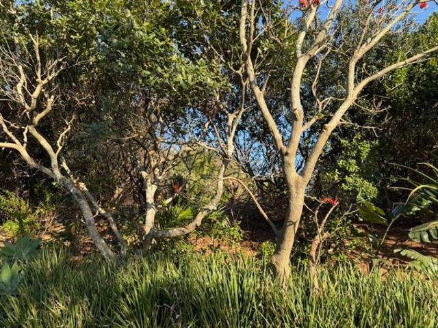 Land for sale in Princess Grant, Kwazulu-natal