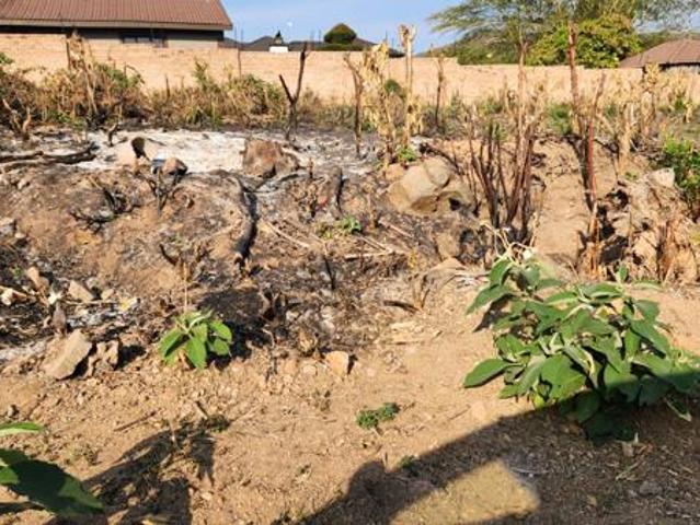 Land for sale in Ehlanzeni, Mpumalanga