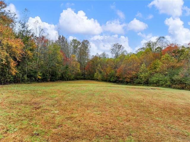 House for sale in Mount Airy, Georgia