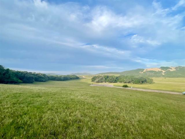 Land for sale in Bushmans River Mouth, Eastern Cape
