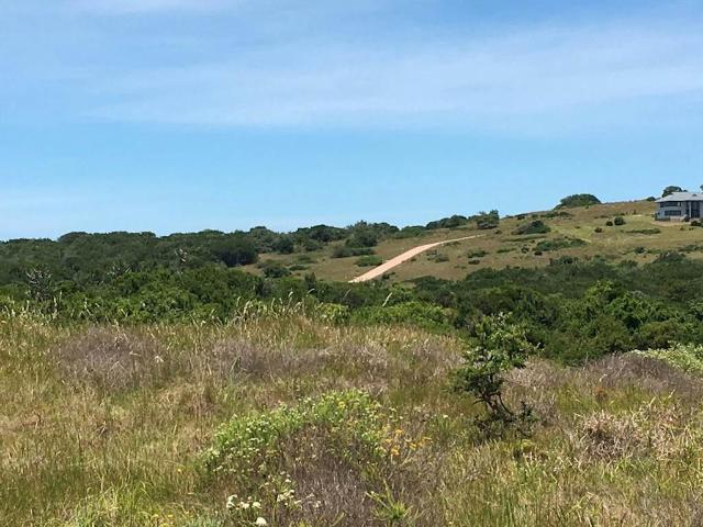 Land for sale in Bushmans River Mouth, Eastern Cape