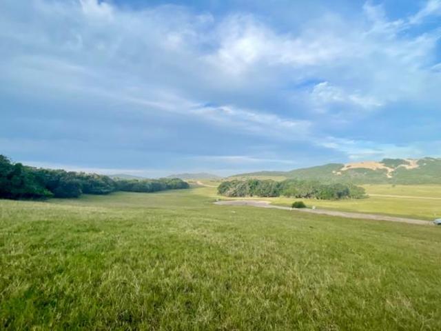 Land for sale in Bushmans River Mouth, Eastern Cape