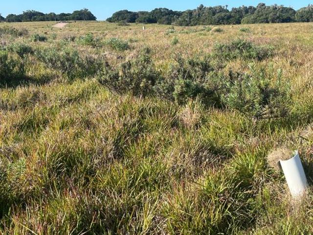 Land for sale in Bushmans River Mouth, Eastern Cape