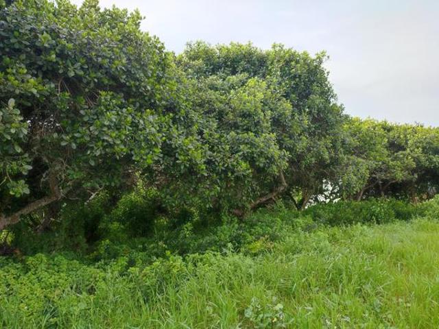 Land for sale in Western Cape